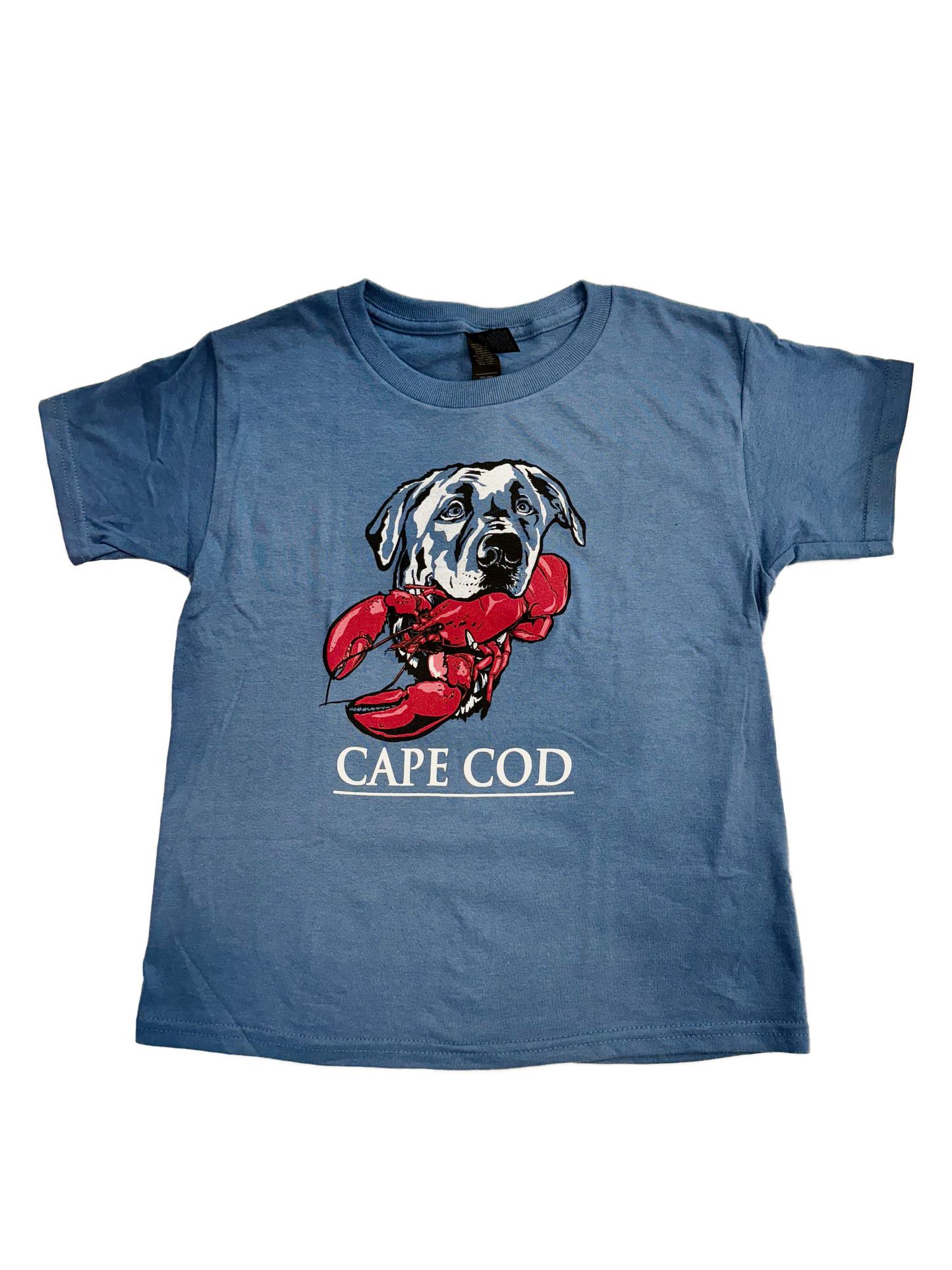 Youth Lab Lobster Cape Cod