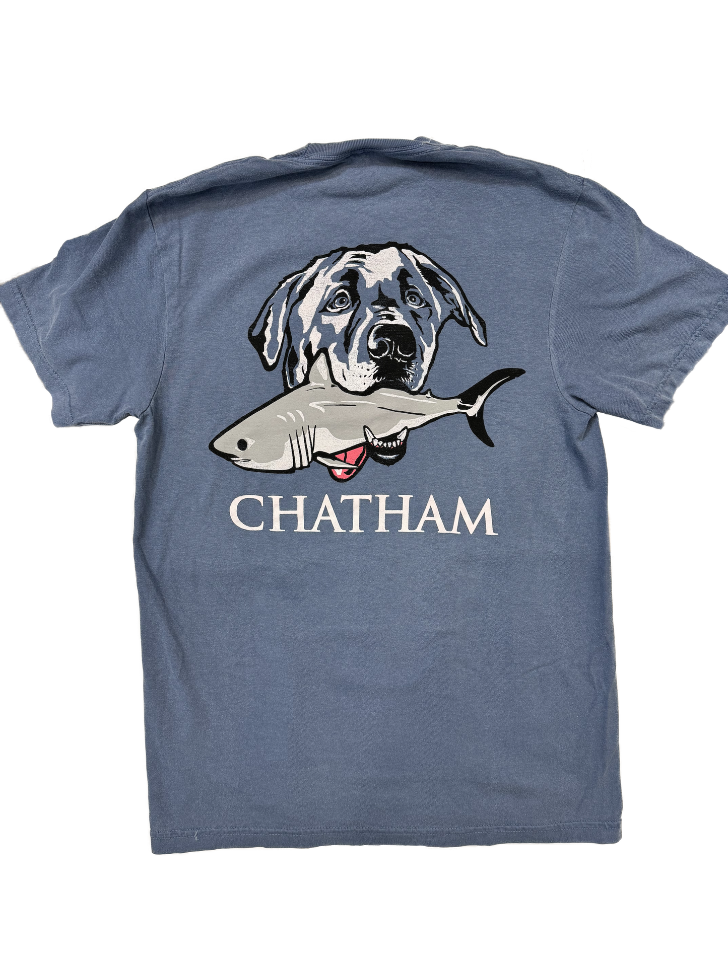 Lab Shark Chatham